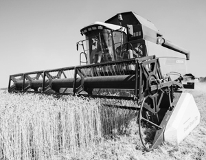 Засуха на Украине и юге России даст российским аграриям возможность заработать при меньшем урожае