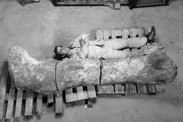 На фото – найденная кость самого большого, как уверяют палеонтологи, динозавра, жившего на Земле около 90 млн лет назад. По предварительным оценкам, ящер мог достигать 9 метров в высоту