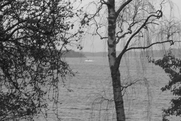 Шведские военные, четвертый день ведущие поиски «российской подводной лодки», следы которой не обнаружены, показали фотографию некоего объекта, отметив, что фотограф «увидел что-то на поверхности, а после того, как он сделал фото, оно снова ушло под воду»