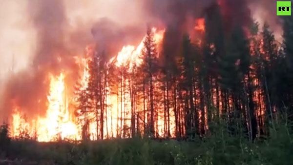 Все лесные пожары в России ликвидированы