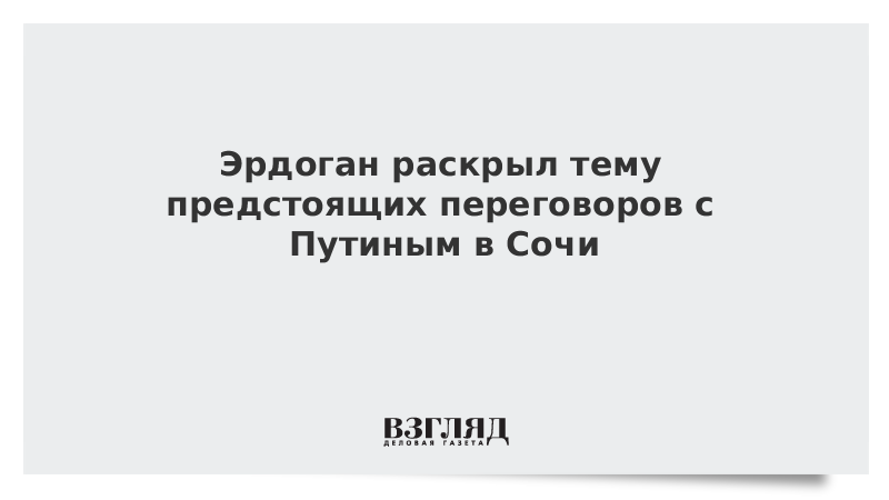 Эрдоган раскрыл тему предстоящих переговоров с Путиным в Сочи