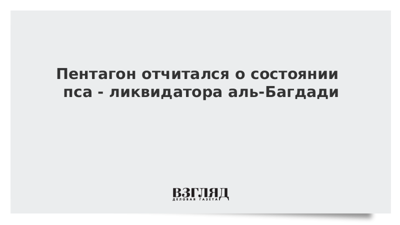 Костюм ликвидатора чаэс. Костюм ликвидатора чаэс. Прикол корейский спецназ. О ликвидаторах чернобыльской трагедии. Чернобыль сериал собака.