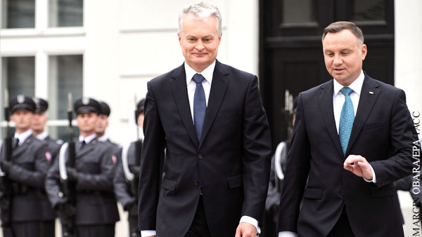 Польша и Литва поспорили с Макроном о «смерти мозга» НАТО