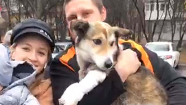 Украинский чиновник протащил по дороге привязанную к машине собаку
