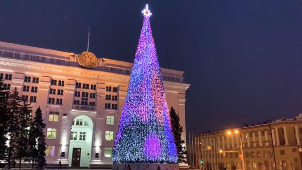 Глава Кемерово объяснил покупку елки за 18 млн рублей
