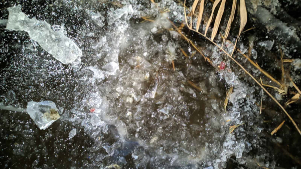 Вмерзшее в лед тело младенца нашли на реке в Саратовской области