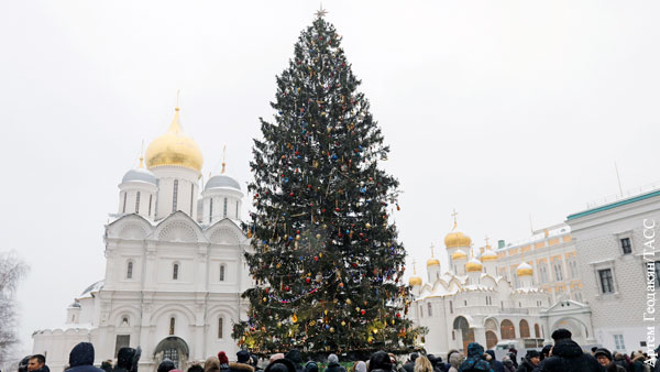 Выбрана главная елка России