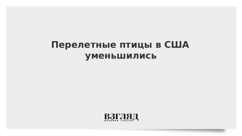 Перелетные птицы в США уменьшились