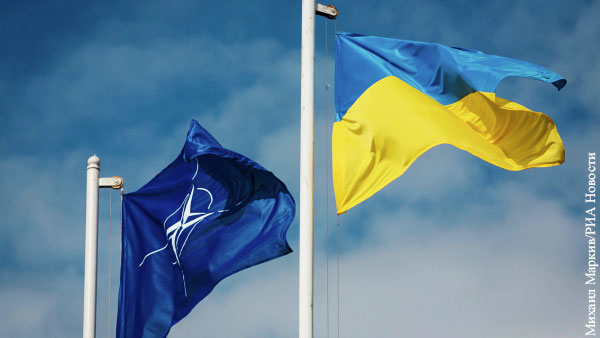 На Украине назвали срок приема страны в НАТО