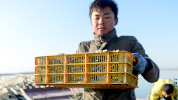 В Совфеде отреагировали на требование Японии вернуть задержанные рыболовецкие суда