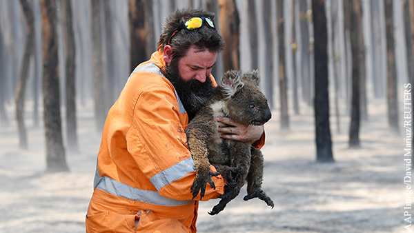 Австралия подготовилась к лесным пожарам куда хуже России