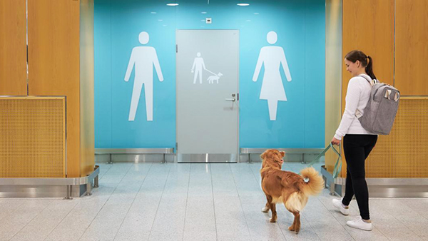 Тревел-блогер: Собачьи туалеты в аэропортах упростят жизнь путешественников с питомцами