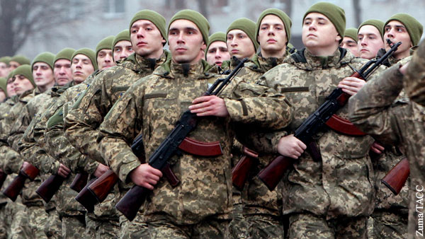 В Донбассе отреагировали на планы Киева построить базы в Мариуполе и Северодонецке
