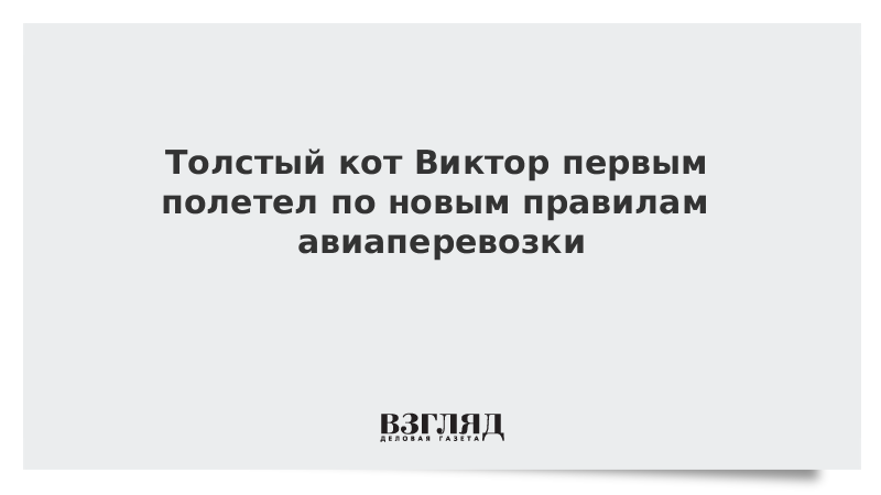 Толстый кот минеральные воды