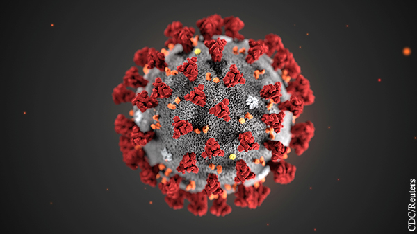 Ученые не признаются в создании коронавируса