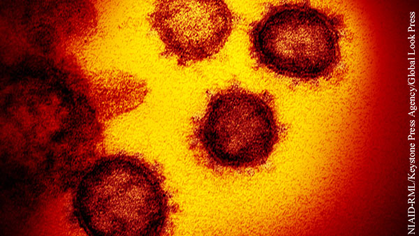 Жертвами коронавируса в США стали более 2 тыс. человек