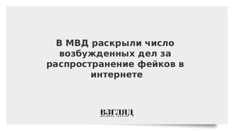 В МВД раскрыли число возбужденных дел за распространение фейков в интернете