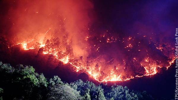 Площадь лесных пожаров в России превысила 7 тыс. га
