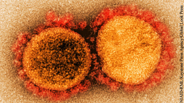 За сутки в США от коронавируса умерли почти 2 тыс. человек