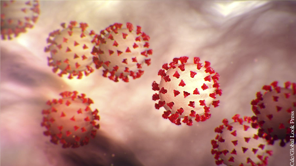 Ученые сравнили коронавирус с ниндзя