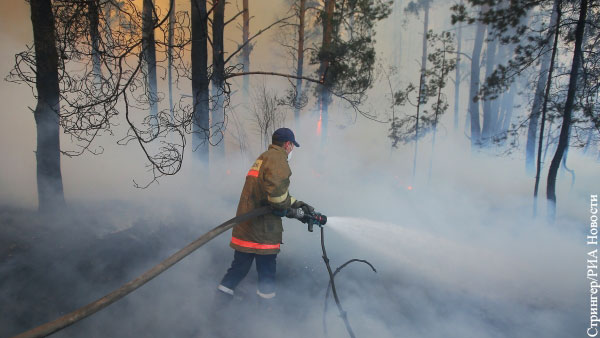 В пожарах в Чернобыльской зоне обвинили сталкеров