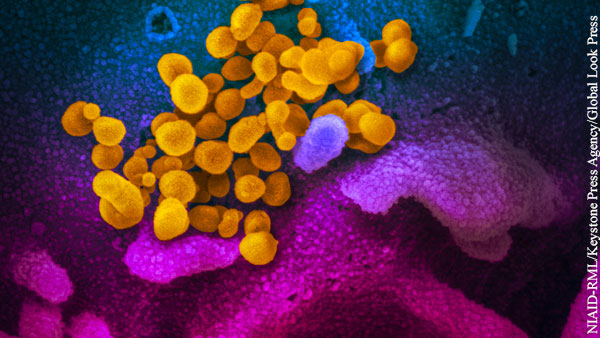 Нобелевский лауреат заявил о частицах ВИЧ в коронавирусе