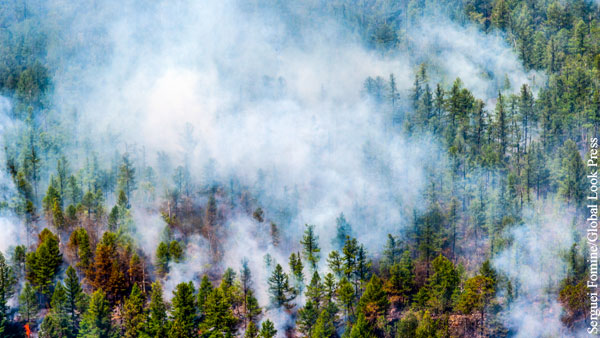 Глава МЧС заявил о критической ситуации с пожарами в Сибири и на Дальнем Востоке