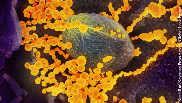 Иранские ученые научились выявлять коронавирус за полминуты