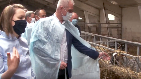 В Ульяновской области началось производство сыра из овечьего молока