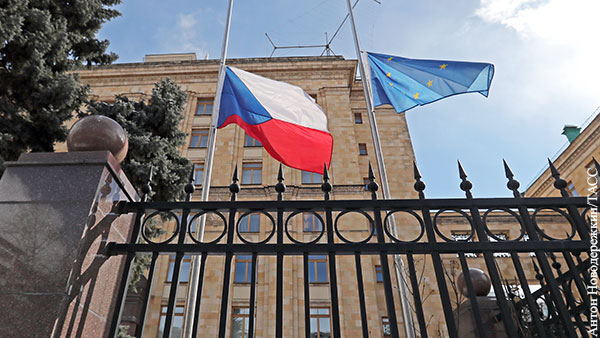 В Совфеде оценили желание Чехии отстранить Россию от строительства АЭС 