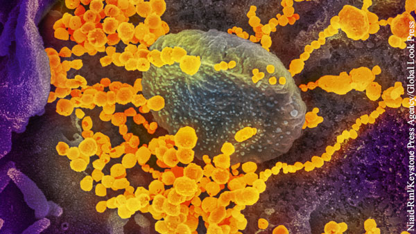Названа доля переболевших коронавирусом с иммунитетом к повторному заражению