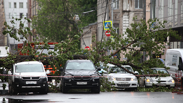 От непогоды в Москве пострадали около 80 машин