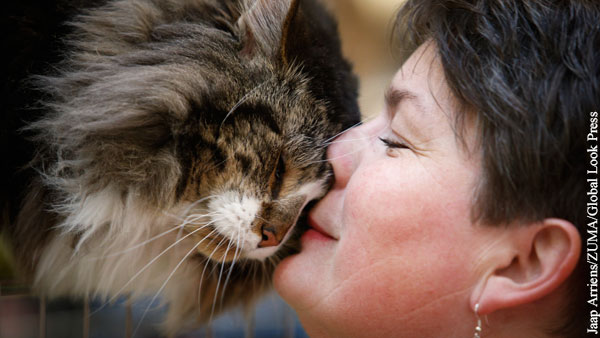 Заболевшим COVID-19 дали неожиданный совет по защите кошек от вируса