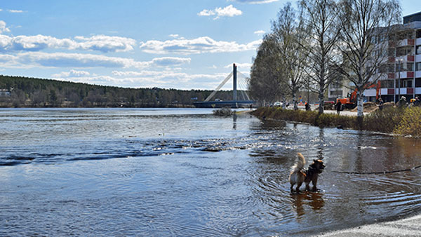Наводнение в финской Лапландии достигло почти полувекового рекорда
