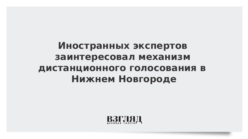 Иностранных экспертов заинтересовал механизм дистанционного голосования в Нижнем Новгороде