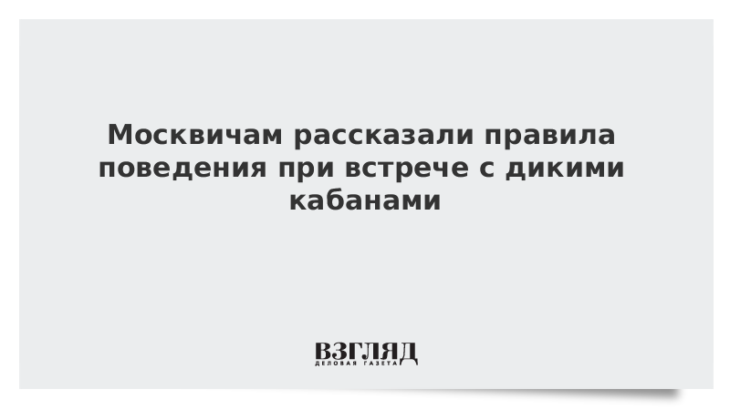 Москвичам рассказали правила поведения при встрече с дикими кабанами