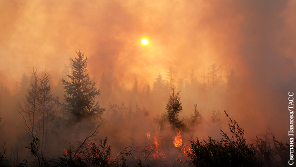 Мнения: Почему за лесными пожарами стоит математика