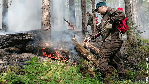 Борьба с огнем: как в России тушат лесные пожары
