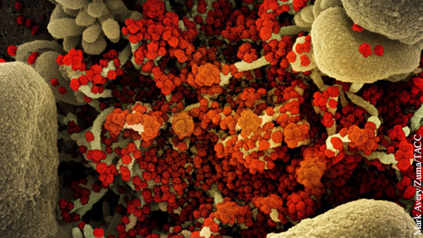 Китайские ученые предупредили о новом пути распространения коронавируса