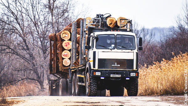 Решение Путина о запрете на вывоз древесины оказалось «неприятным» для Финляндии