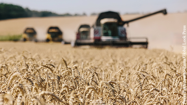 Минсельхоз США предсказал мировое лидерство России по экспорту пшеницы