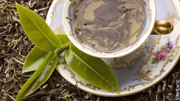 Вирусолог рассказал, как рябина и зеленый чай помогают заболевшим COVID-19