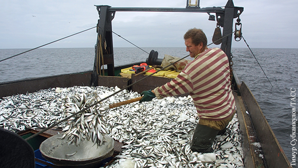Евросоюз выгоняет рыбаков из Прибалтики в Россию