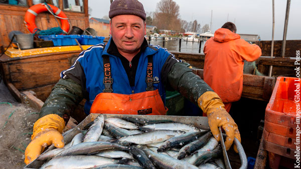 Правила рыболовства поставили Британию на грань войны с Евросоюзом
