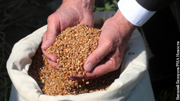 Российские экспортеры пшеницы столкнулись с проблемами на таможне