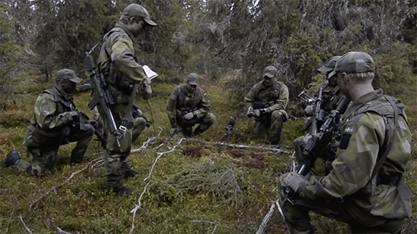 Шведы отреагировали на ролики о «войне с Россией»