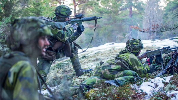 Эксперт объяснил возмущение шведов роликами о «войне с Россией» 