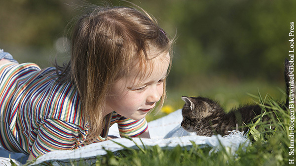 Российские ученые разработали вакцину против аллергии на кошек