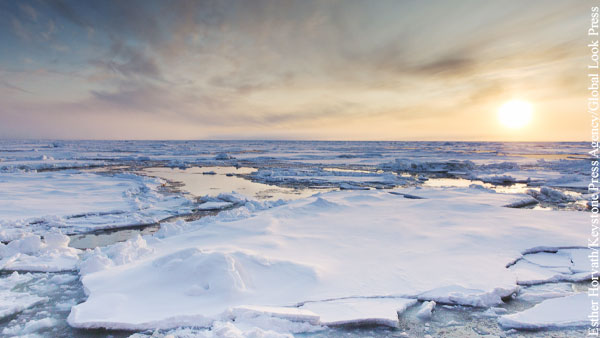 Ученые спрогнозировали полное исчезновение льдов в Арктике к 2050 году