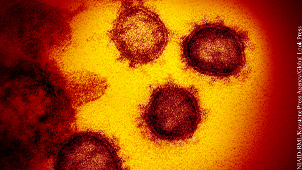 Новый штамм коронавируса выявлен в Чехии
